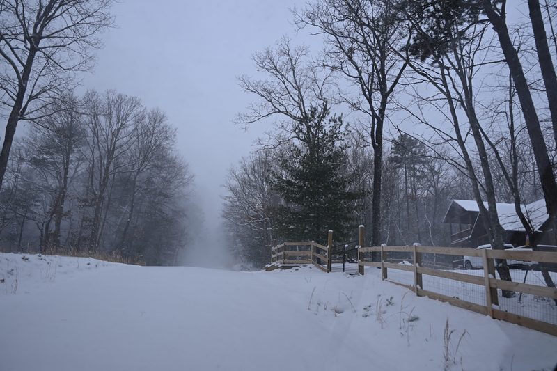 DSC_0220.JPG